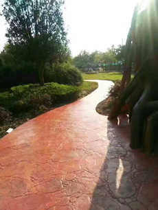 ������ƺ�D