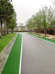 ��ɫ�մ��w��·��